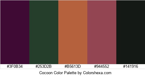 Cocoon Color Colors Logo