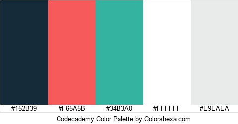 Codecademy Color Colors Logo