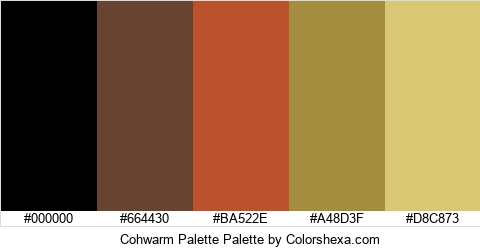 Cohwarm Palette Colors Logo
