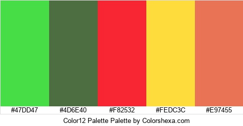 Color12 Palette Colors Logo