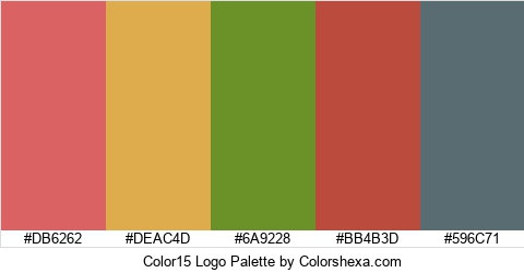 Color15 Logo Colors Logo