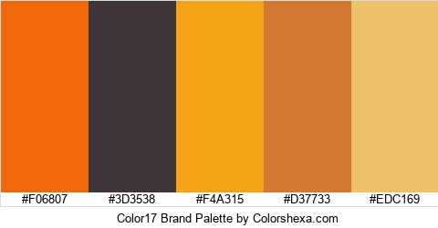 Color17 Brand Colors Logo