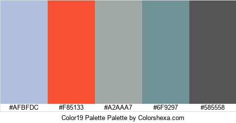 Color19 Palette Colors Logo