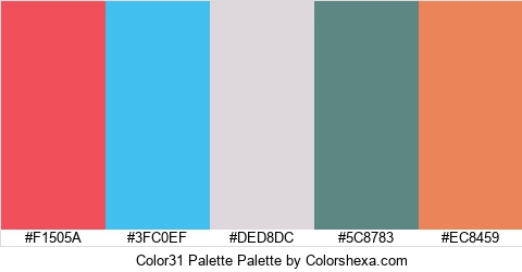 Color31 Palette Colors Logo