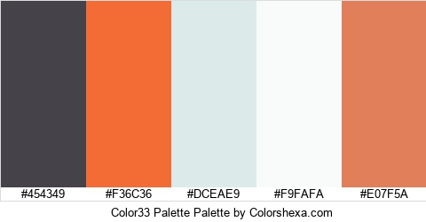 Color33 Palette Colors Logo