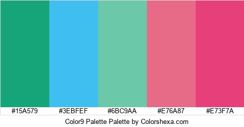 Color9 Palette Colors Logo