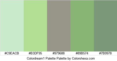 Colordream1 Palette Colors Logo