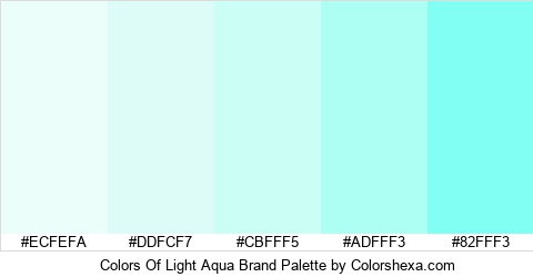 Colors Of Light Aqua Brand Colors Logo