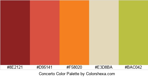 Concerto Color Colors Logo