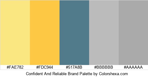 Confident And Reliable Brand Colors Logo