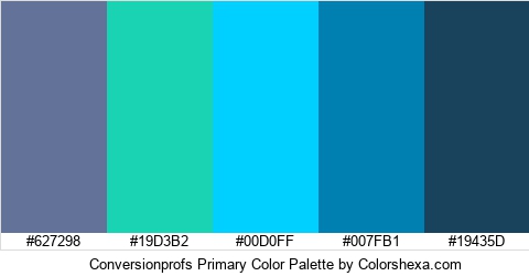 Conversionprofs Primary Color Colors Logo