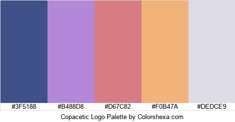 Copacetic Logo Colors Logo