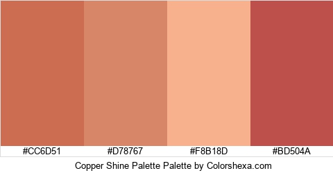 Copper Shine Palette Colors Logo