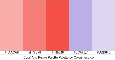 Coral And Purple Palette Colors Logo