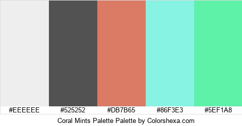 Coral Mints Palette Colors Logo