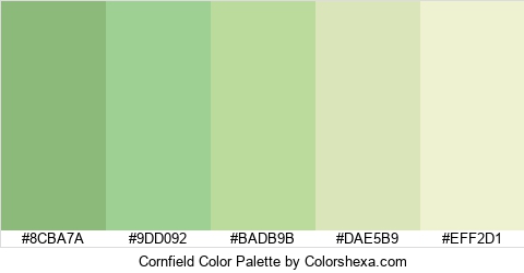 Cornfield Color Colors Logo