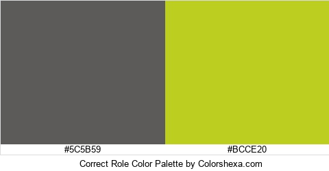 Correct Role Color Colors Logo