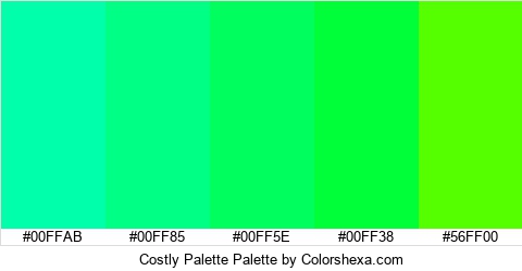 Costly Palette Colors Logo