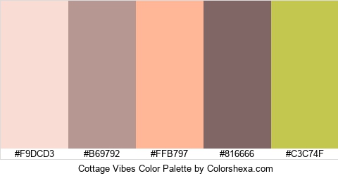 Cottage Vibes Color Colors Logo
