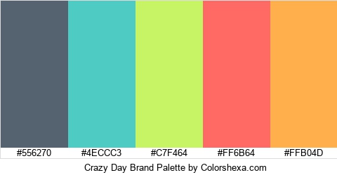 Crazy Day Brand Colors Logo