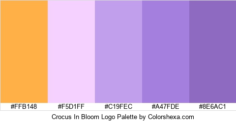 Crocus In Bloom Logo Colors Logo