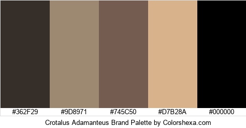 Crotalus Adamanteus Brand Colors Logo