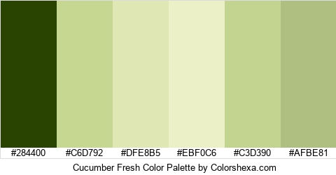 Cucumber Fresh Color Colors Logo
