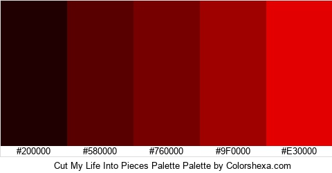 Cut My Life Into Pieces Palette Colors Logo
