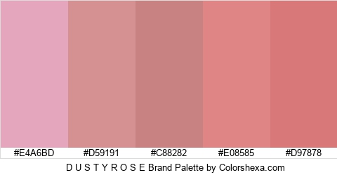 D U S T Y R O S E Brand Colors Logo