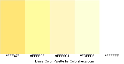 Daisy Color Colors Logo