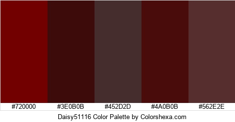 Daisy51116 Color Colors Logo