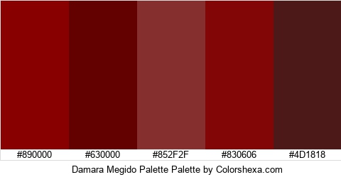 Damara Megido Palette Colors Logo