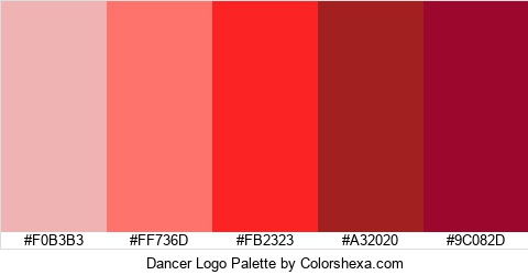 Dancer Logo Colors Logo