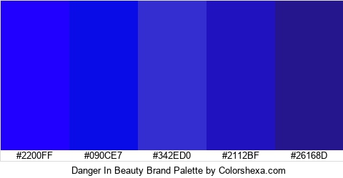 Danger In Beauty Brand Colors Logo