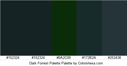 Dark Forrest Palette Colors Logo