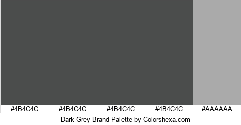 Dark Grey Brand Colors Logo
