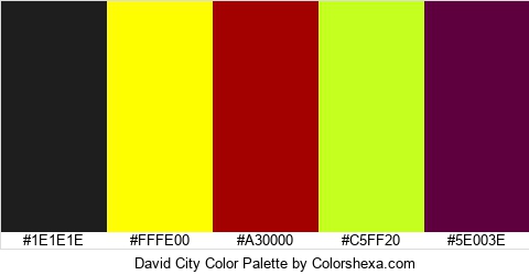 David City Color Colors Logo