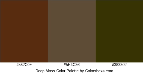 Deep Moss Color Colors Logo