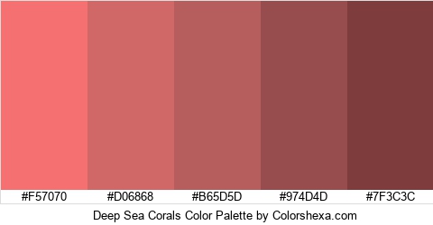 Deep Sea Corals Color Colors Logo
