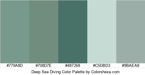 Deep Sea Diving Color Colors Logo