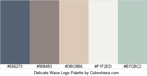 Delicate Wave Logo Colors Logo