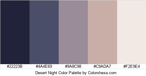 Desert Night Color Colors Logo
