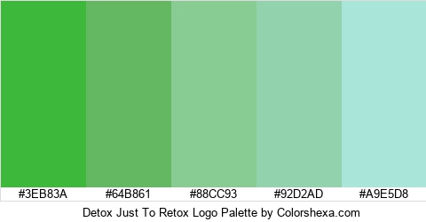 Detox Just To Retox Logo Colors Logo