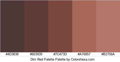 Dim Red Palette Colors Logo