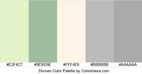 Divinen Color Colors Logo
