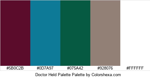 Doctor Held Palette Colors Logo