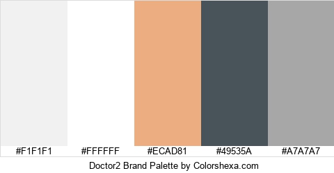 Doctor2 Brand Colors Logo