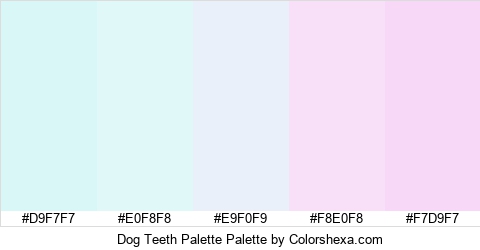 Dog Teeth Palette Colors Logo