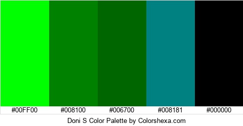 Doni S Color Colors Logo