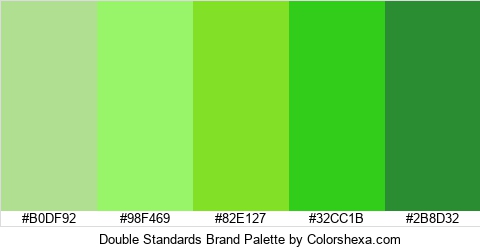 Double Standards Brand Colors Logo